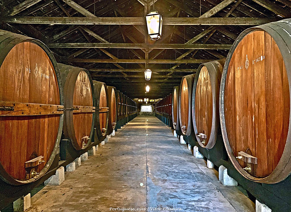 Wine barrels inside a traditional Portuguese cellar